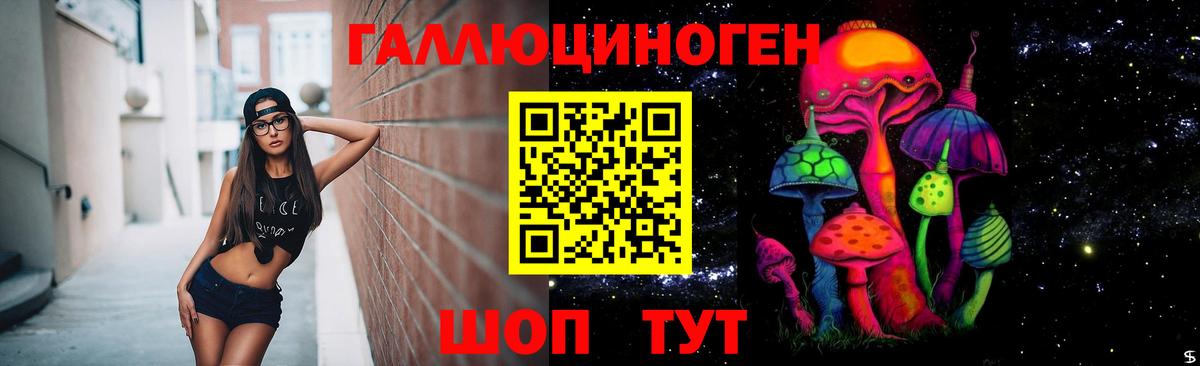 Азов  Псилоцибиновые грибы прущие грибы  Вход с VPN  Галлюциногенные грибы Cubensis 